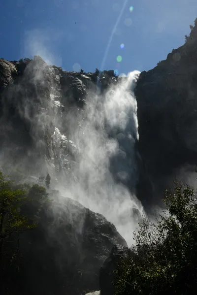 DSC_2336 (Large).JPG